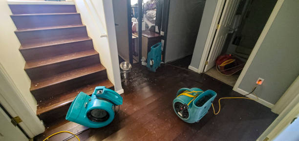 Best 24/7 water damage repair  in Darrington, WA