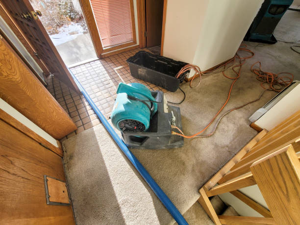 Best Water damage restoration company  in Darrington, WA