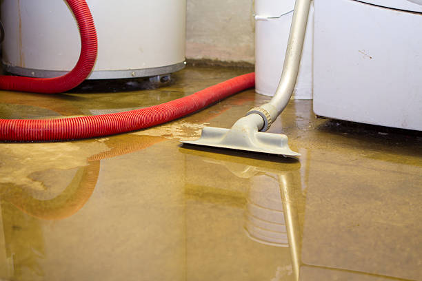 Best Water damage cleanup near me  in Darrington, WA