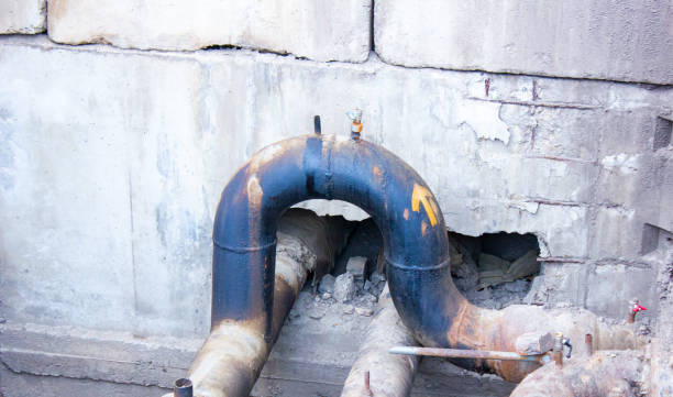 Best Water damage contractors near me  in Darrington, WA