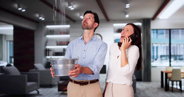 Best Professional water damage repair  in Darrington, WA
