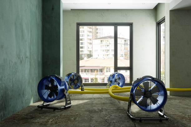 Best Water damage restoration near me  in Darrington, WA